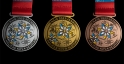 NAIG 2023 Medal Design